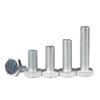 Galvanized Hex Head Bolt