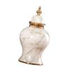 Ceramic Flower Vase Ornament ,Floral Arrangement ,Storage Jar ,Traditional Porcelain Storage for