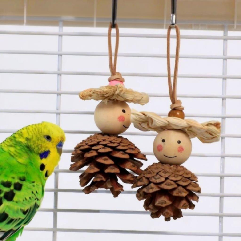 Parrot Natural Pinecone Chew Toy Bird Beak Grinding & Boredom Relief Pine Ornament Bird Cage Decoration Pet Supplies
