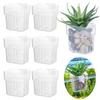 12Pieces Transparent Wall Mount Planter Cup Water Plant Holder For Fishtanks Greenery And Aquascaping Scene Decors