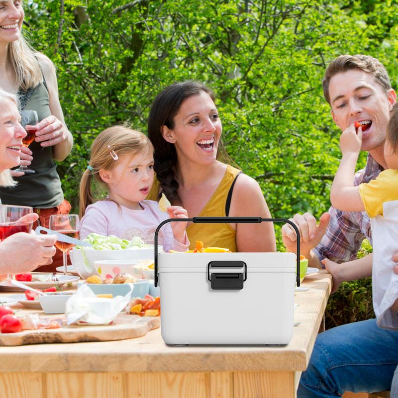 3.8L Mini Cooling Box Car Refrigerated Cold Box Camping Insulated Cooler Organizer With Handle Vehicle Accessories