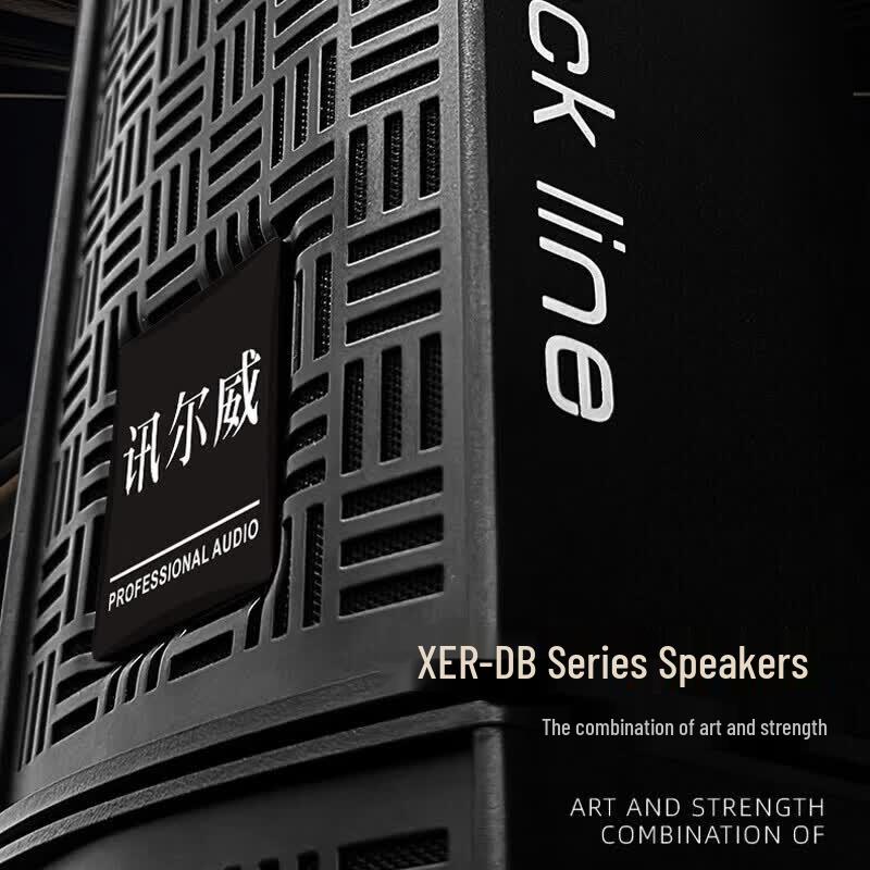Xun Er Wei Professional Conference & Stage Audio Systems (CN Version)