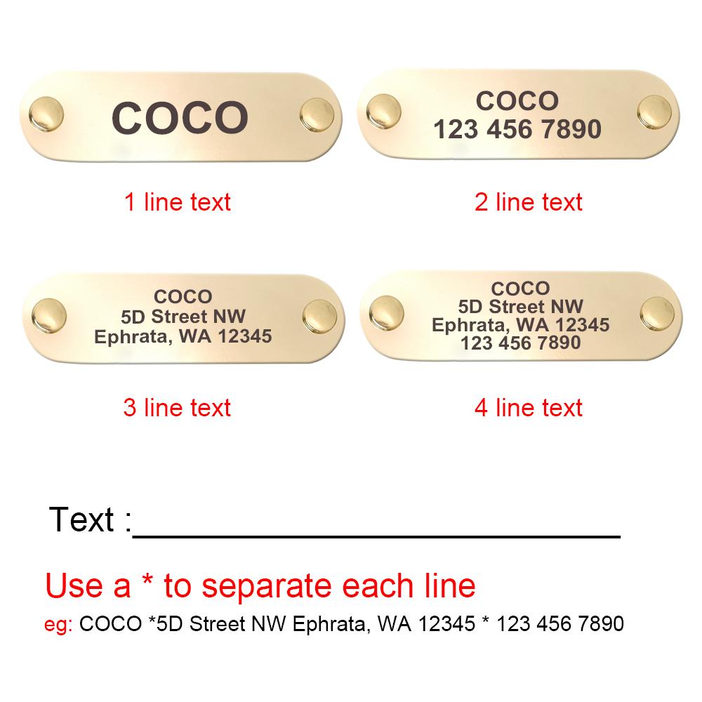 Personalized Dog Collar And Leash Set Real Leather Pet Collars Dogs Walking Lead Leash for Small Large Dogs Pitbull XXS-XL