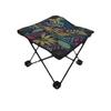 ZISIZ Portable Folding Camping & Fishing Stool