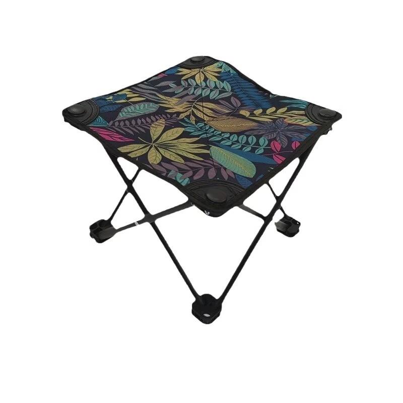 ZISIZ Portable Folding Camping & Fishing Stool