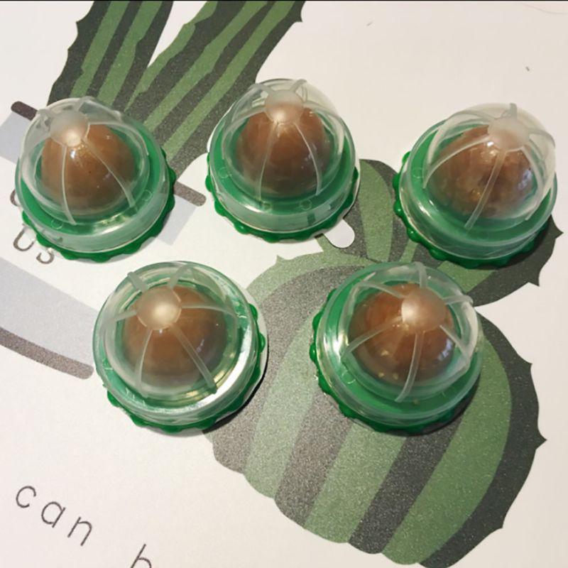 cat energy nutrition ball