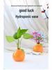 Country Style Ceramic Orange Vase for Hydroponic Ivy and Tabletop Decoration