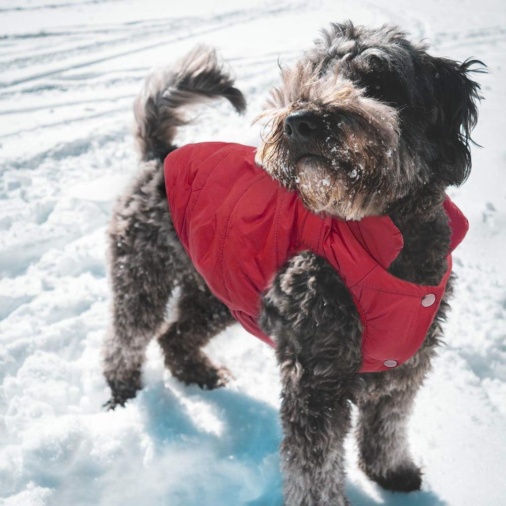 Waterproof Windproof Winter Dog Coat: Warm Pet Vest for Cold Weather