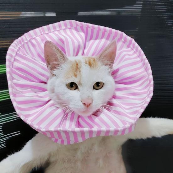 Yousheng Cat Protective Collar Soft Breathable Adjustable Buckle Classic Striped Neck Wear Anti-licking Anti-bite Pet Dog Post Surgery Wound Healing