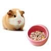 Keramická miska na krmivo pre škrečka Keramická miska na vodu Miska na krmivo pre malé zvieratá Podávač pre domáceho maznáčika Sýrsky škrečok Králik Gerbil Potič cukrový Potkan