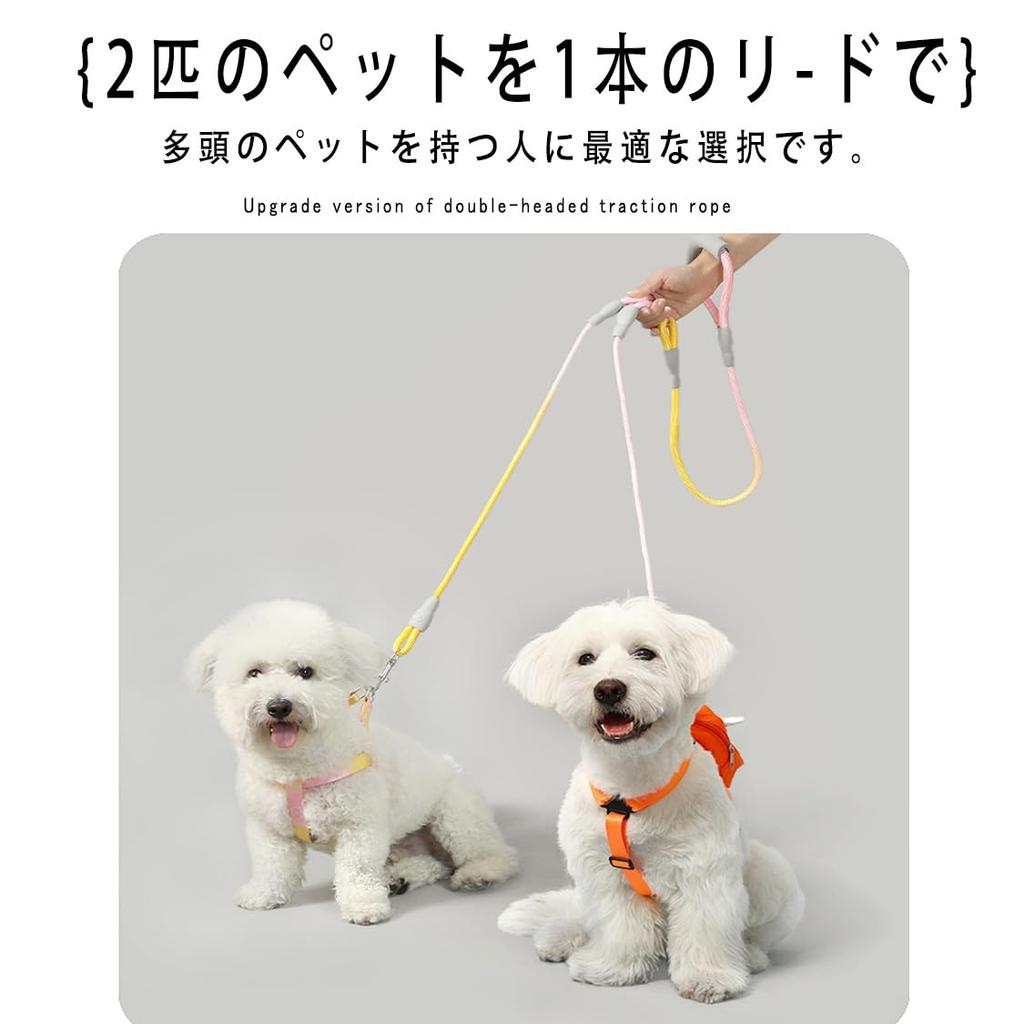 Dog leash for two dog traction dog for multiple for going for for convenient pet suitable for small and pink blue gradation dogs, rope, leash, dogs,