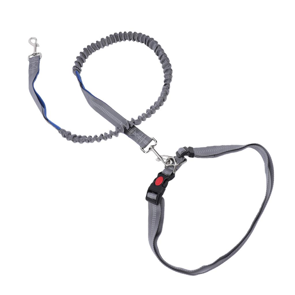 Dog Leash Multifunctional D Ring Reflective Strip Anti Pull Lock Buckle Nylon Dog Rope Leash for Walking