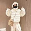 Super good-looking ribs cotton-padded clothes women's year hooded short small warm cotton-padded clothes cotton-padded jackets turtle back win