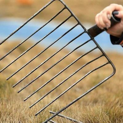 Garden Accessory Pitchfork Replacement Head, Tool for Manure Handling