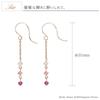 Hook Earrings 18K Ruby Pink Tourmaline Labradorite K18 Pink Gold 18K [Barzaz]