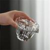 Yipan Heat-Resistant Transparent Glass Gaiwan