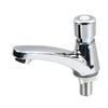 Basin Sink Faucet Push Button Design Water Saving Rugged  Time Delay Faucet for Home Single Cold Push Button Sink Faucet