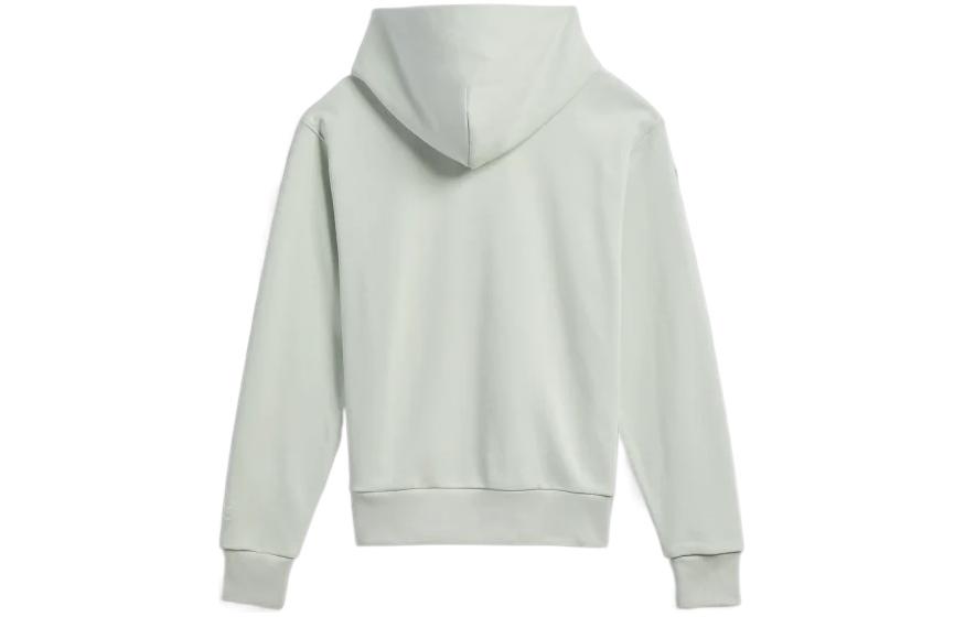 Adidas X Pharrell Williams Basics Hoodie HS4815