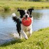 Yumuşak Kettlebell Yüzen Köpek Oyuncağı Isırığa Dayanıklı Plastik Havuz ve Kara İçin Top Diş Temizleme Dokulu Güvenli Etkileşimli Eğitim Köpek Oyuncağı