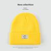 Autumn and Winter Knitted Hat Niche Personality Fashion Melon Rind Wool Hat Warm Protection Amount Simple Letter Cloth Label Cold Hat