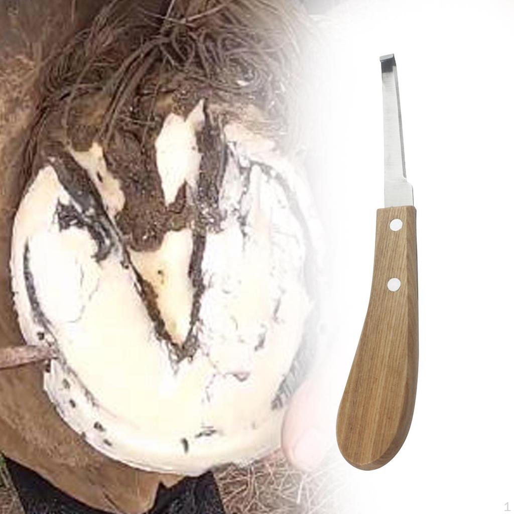 Nůž na koňská kopyta Pohodlná rukojeť Podkovář pro podkováře Hospodářská zvířata Krávy pravá ruka