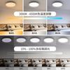 NAONE LED Ceiling Light, 6-tatami mat (approx. 6 tatami mats), 4000lm, Dimmable, Color-Adjustable, Miniature Night Light, Timer & Memory Function,
