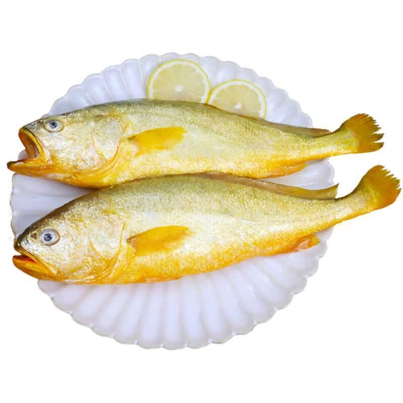 Hongshun Freshly Frozen Yellow Croaker