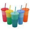 Färgskiftande plastmugg med sugrör 24oz Återanvändbar kallvattenkopp Läckagesäker Stapelbar Dryckesvara för Inomhus- och Utomhusbruk