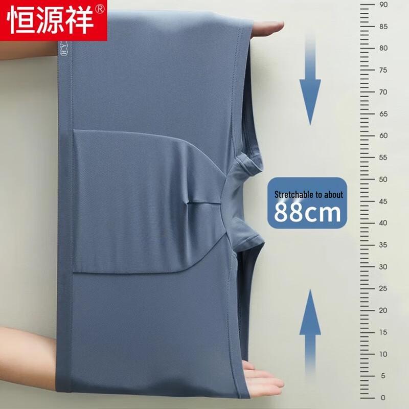 Hengyuanxiang Men's Plus Size Ice Silk Boxer Briefs