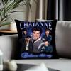 Hot CChayanneing Cushion Cover Antidustmite Pillowcase Invisible Zipper Silky Short Plush Sofa Cushion Cover