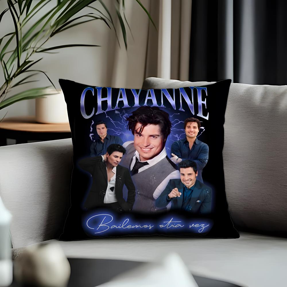 Hot CChayanneing Cushion Cover Antidustmite Pillowcase Invisible Zipper Silky Short Plush Sofa Cushion Cover
