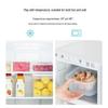 Camelia Ag+ Antibacterial Picnic Refrigerator Storage Box