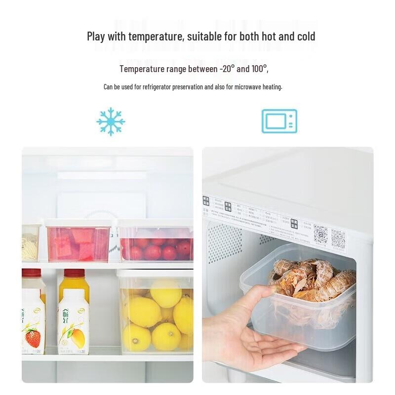 Camelia Ag+ Antibacterial Picnic Refrigerator Storage Box