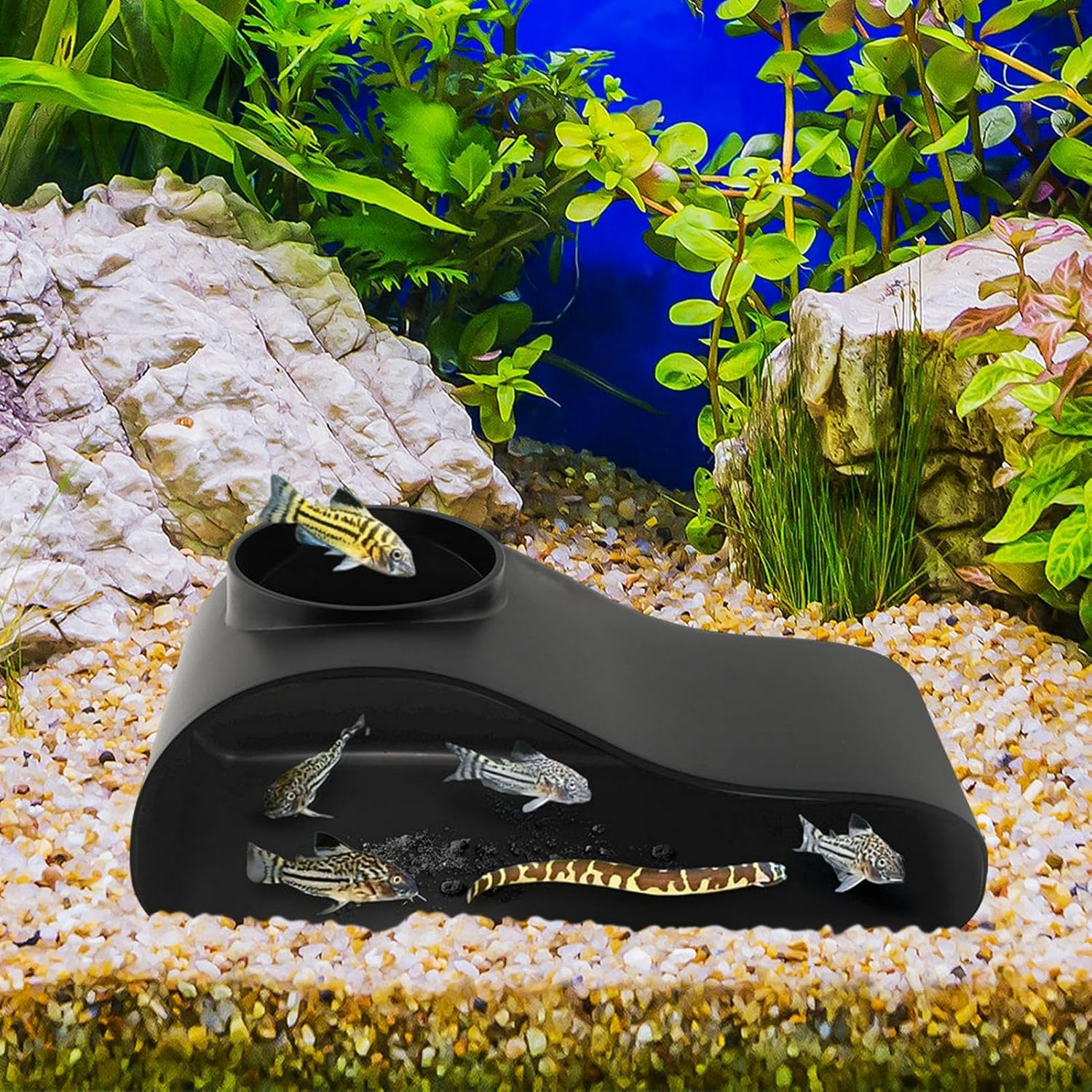 Aquarium Underground Tunnel Cave Fish & Shrimp Under Gravel Tunnel Aquarium Cave Hideout Shrimp and Fish Hiding Caves Shrimps Hideout(Size:Single Single hole
