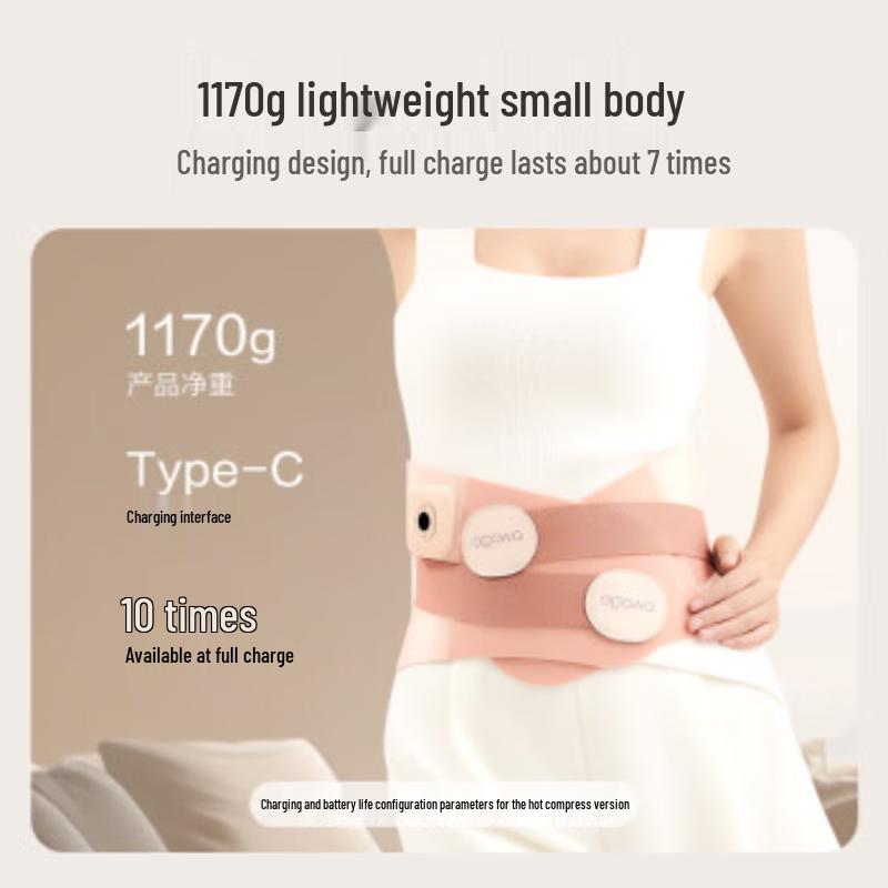 OGAWA Portable Waist Massager