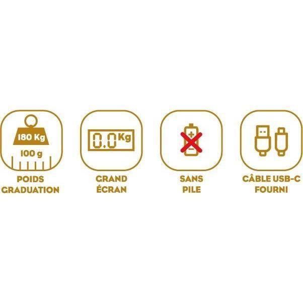 Pèse-personne - LITTLE BALANCE - 8729 - Tortues gold métallisées - USB-réparable - 180 kg / 100 g - Rose