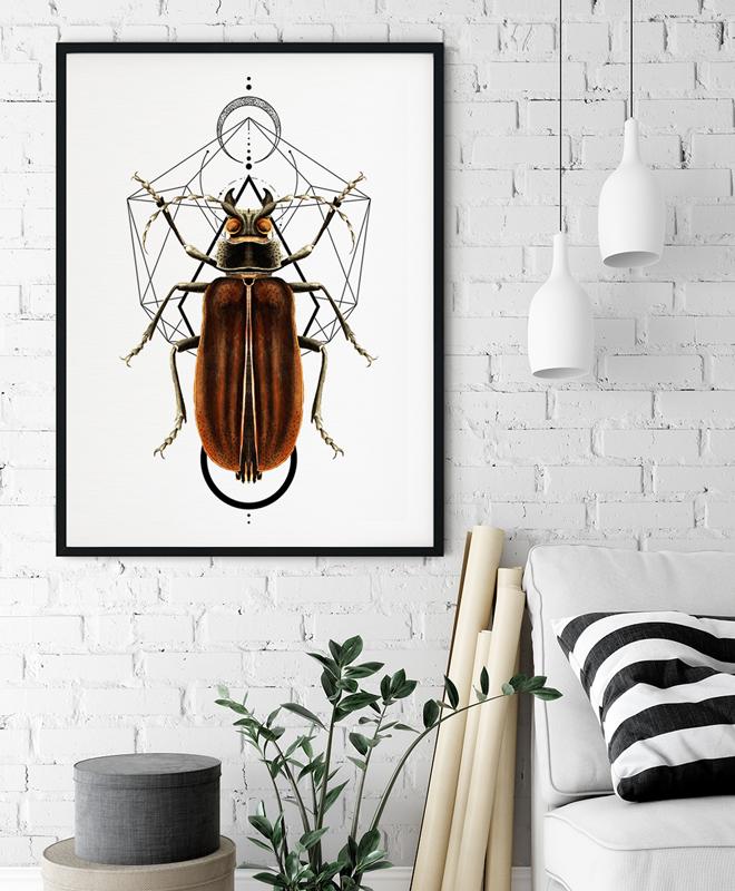 Poster Worms Insects Geometry