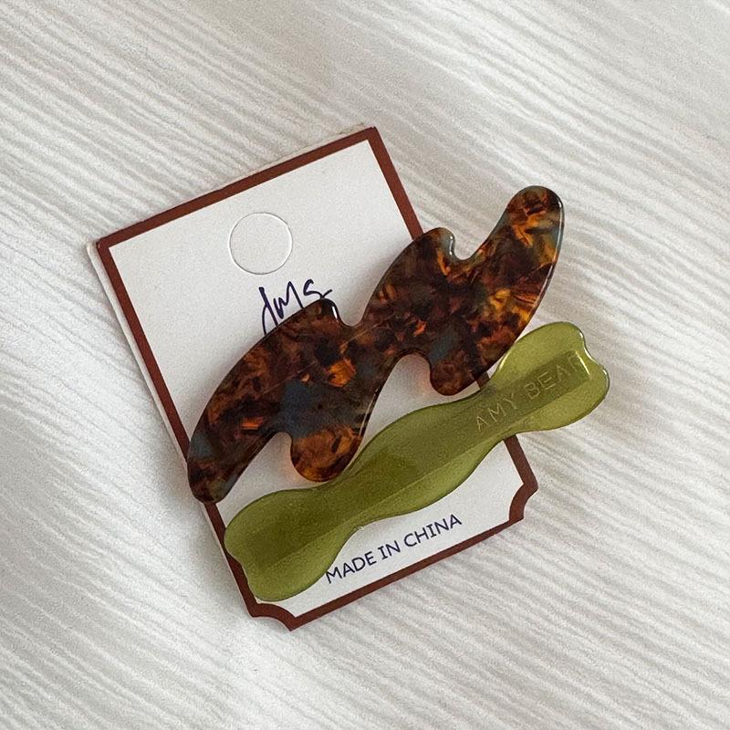 

2 pieces of new simple acetate hair clip headpiece, which is a stylish bangs clip for women, a frontal duckbill clip