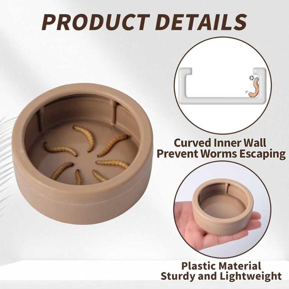 Non-Tip Reptile Food Dish Compact Reptile Bowls Portable Mealworm Feeder Cups Chameleon