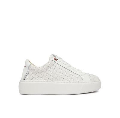 Zapatillas Alexander Smith London