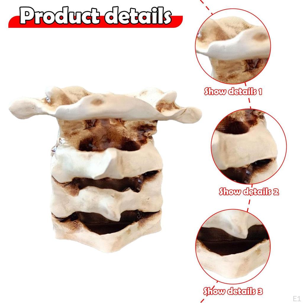 Unique Spine Vase Flower Table Centerpiece Decorative Figurine Desktop Ornament Home Living