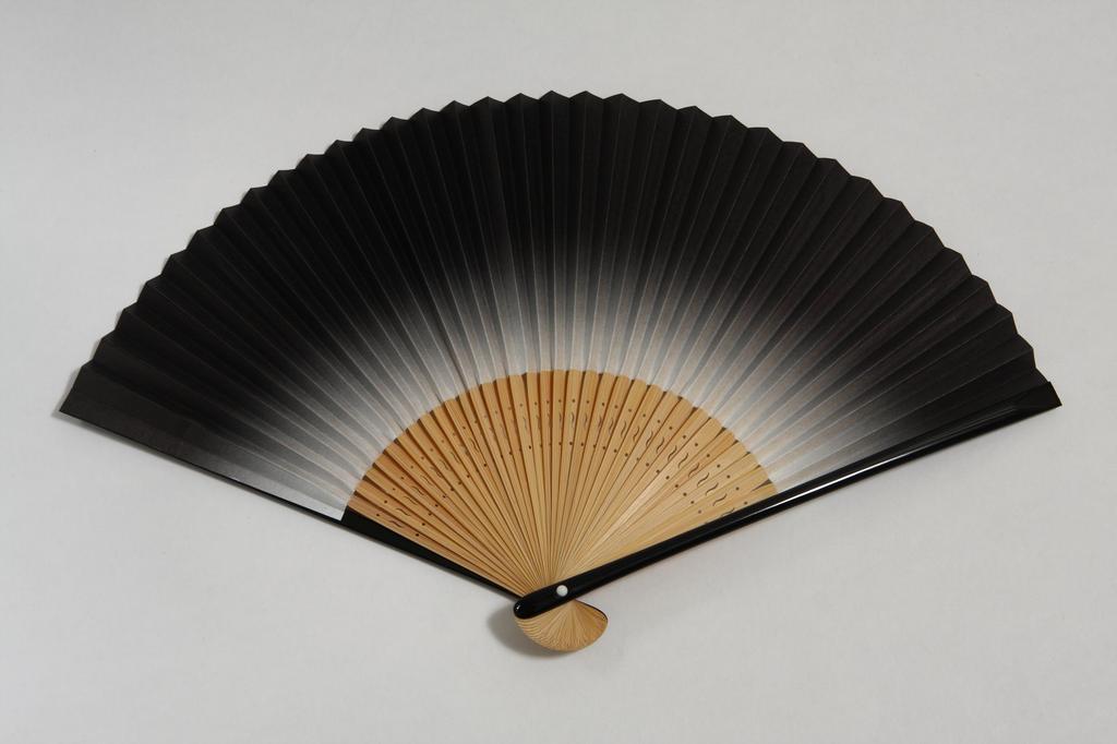 Faltfächer Blüte Handgefertigt von Kyoto Kommt mit Fächerpapierbox Inklusive [Hasegawa] „Kirschblütenmuster“ Zweiseitiges Design, Handwerker, Bestickt, Etui,