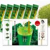Seedcoms Shining Green Juice with Placenta, Barley Grass, Kale, Matcha, Lactic Acid Bacteria, and Oligosaccharides, Stick Type, 30 Packets [Made In Ja