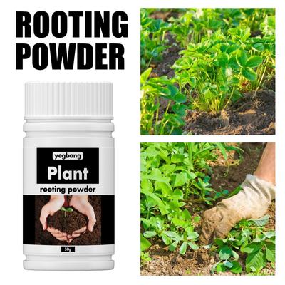 Plant Nutrition Powder Ingredient Safety Chlorophyll Organic Powder Active Enzyme Strengthen Root Growth Plant Growth Fertilizer