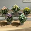 Chamomile Artificial Flower Arrangement for Home & Restaurant Decor - Small Daisy Potted Plant