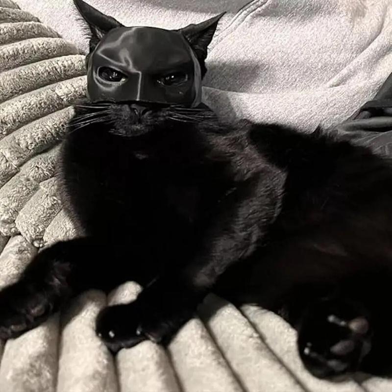 New Black Bat Cat Avenger Mask Cute Bat Mask Cool Superhero Pet Toys For Cats And Dogs Make-up Mask Party Supplies