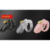 Male Chastity Cage Device Small/Standard Cock Cage with Rings Erotics Urethral Brass Lock Locking Sex Toys for Men Adults