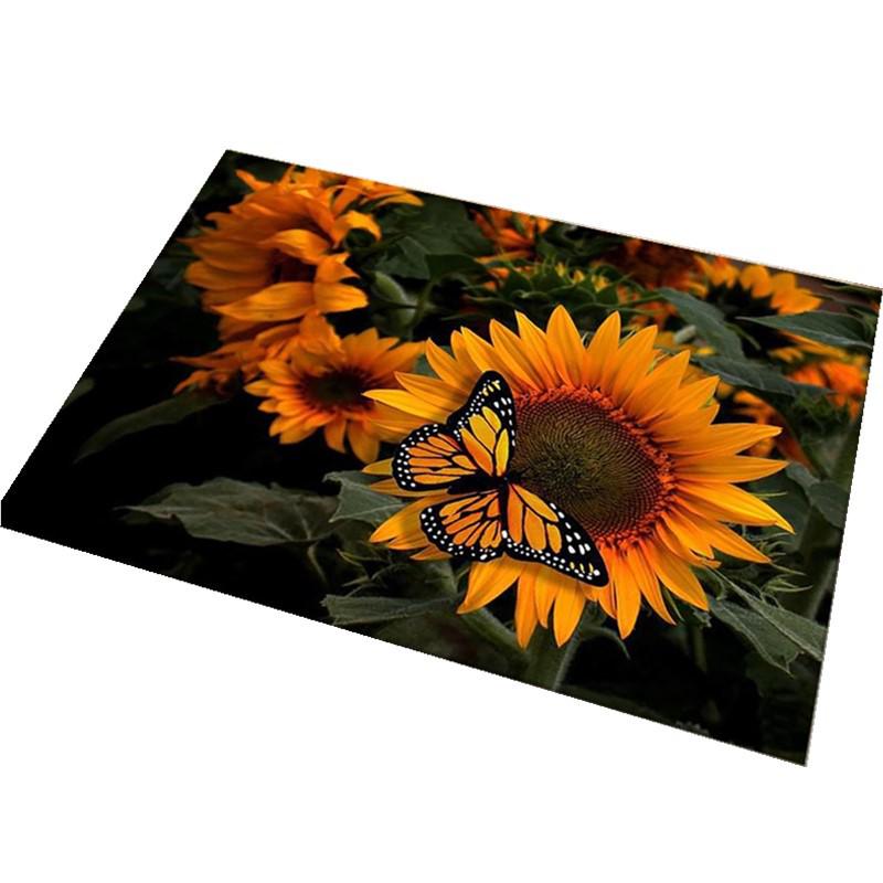 European Luxury Entrance and Foyer Mats - Stylish Floor and Door Carpets for Living Room and Porch