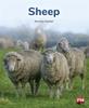 Buch SHEEP