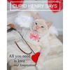 BoomBone Valentines Day Cat Bow Tie Collar Adjustable Breakaway Collar with Bells, Heart Bowtie Kitten Collar